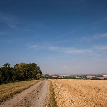 Landgasthof Dittersdorfer Hoehe Amtsberg Zewnętrze zdjęcie