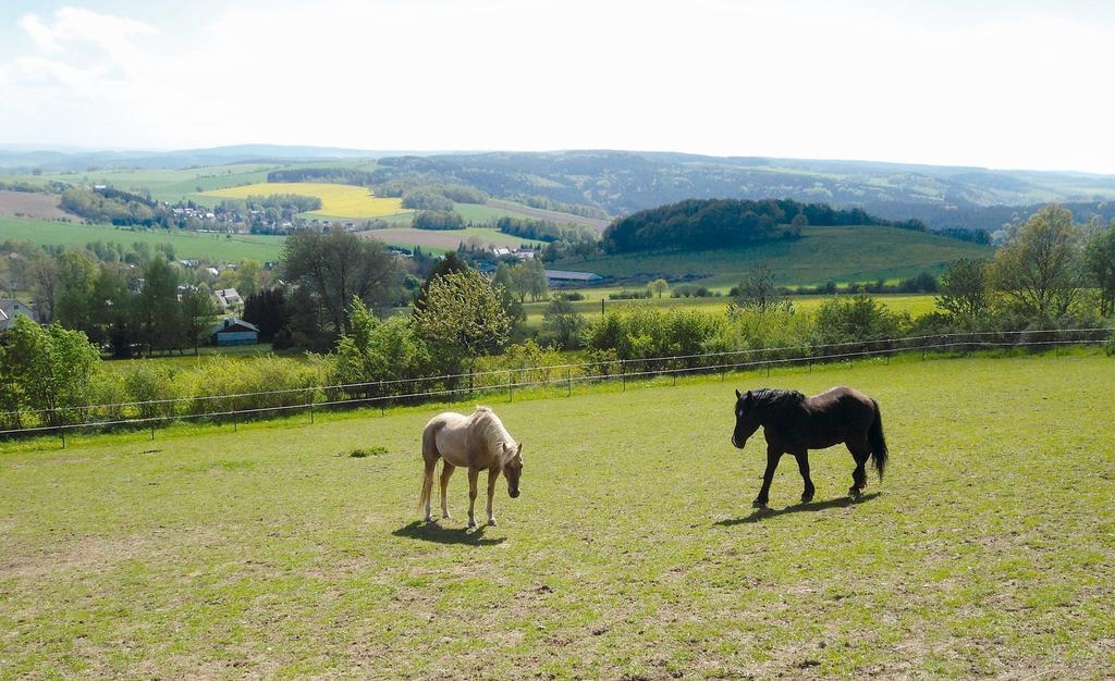 Landgasthof Dittersdorfer Hoehe Amtsberg Zewnętrze zdjęcie