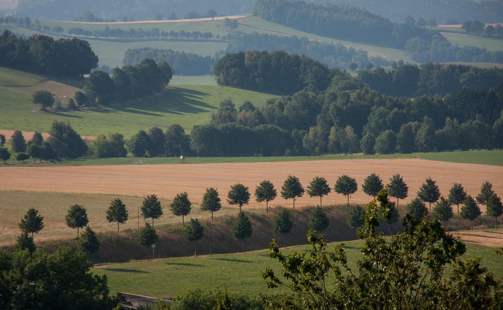 Landgasthof Dittersdorfer Hoehe Amtsberg Zewnętrze zdjęcie