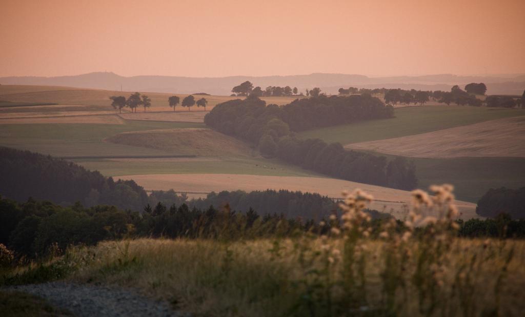 Landgasthof Dittersdorfer Hoehe Amtsberg Zewnętrze zdjęcie